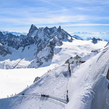 Grand Roc B441 From Slopes 260m & Parking - Happy Chamonix